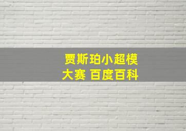 贾斯珀小超模大赛 百度百科